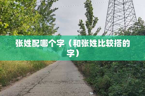 张姓配哪个字（和张姓比较搭的字）