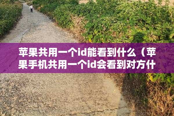 苹果共用一个id能看到什么（苹果手机共用一个id会看到对方什么）