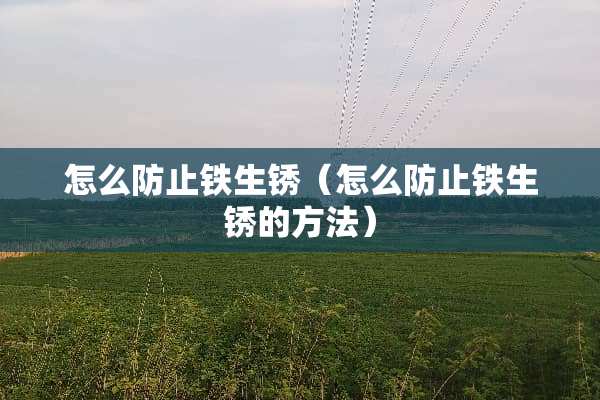 怎么防止铁生锈（怎么防止铁生锈的方法）