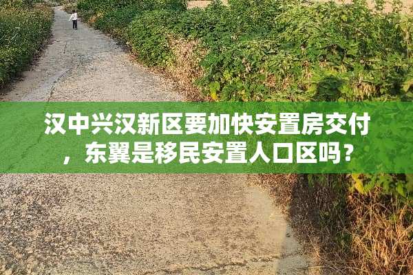 汉中兴汉新区要加快安置房交付，东翼是移民安置人口区吗？