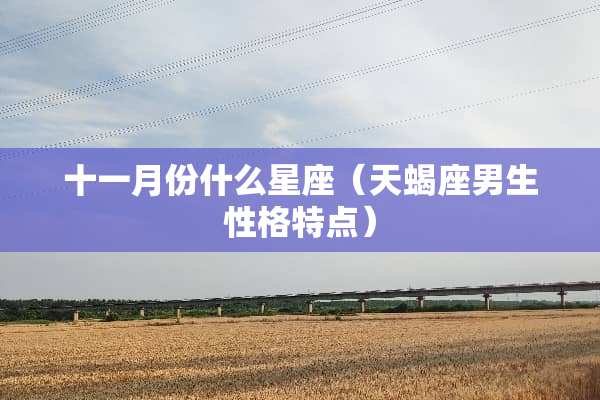 十一月份什么星座（天蝎座男生性格特点）
