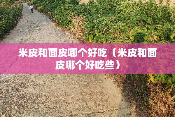 米皮和面皮哪个好吃（米皮和面皮哪个好吃些）