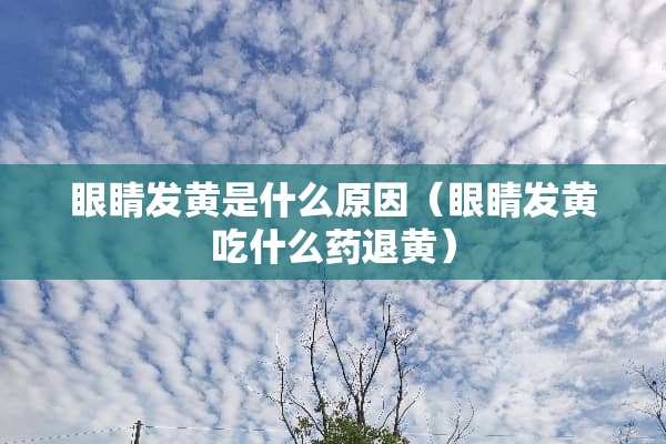 眼睛发黄是什么原因（眼睛发黄吃什么药退黄）