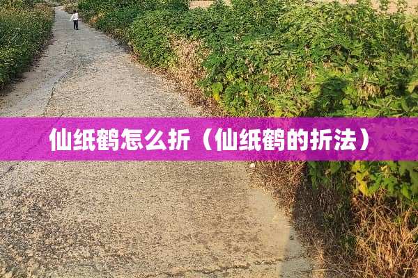 仙纸鹤怎么折（仙纸鹤的折法）