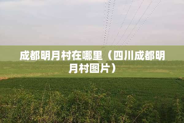 成都明月村在哪里（四川成都明月村图片）
