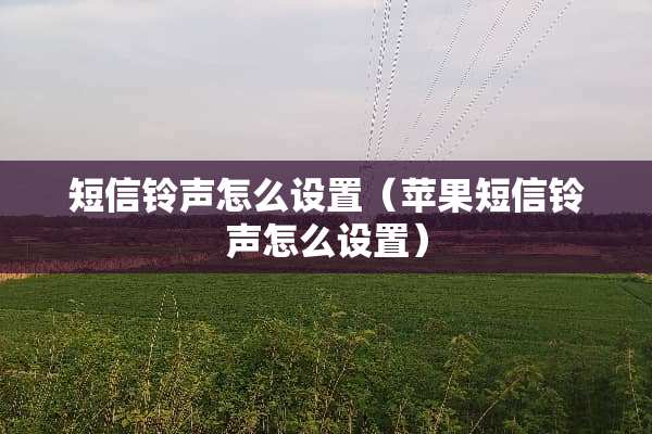 短信铃声怎么设置（苹果短信铃声怎么设置）