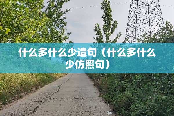 什么多什么少造句（什么多什么少仿照句）