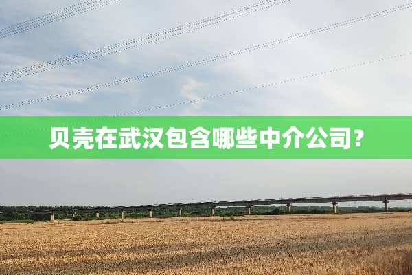 贝壳在武汉包含哪些中介公司？