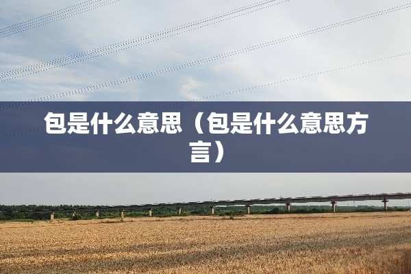 包是什么意思（包是什么意思方言）