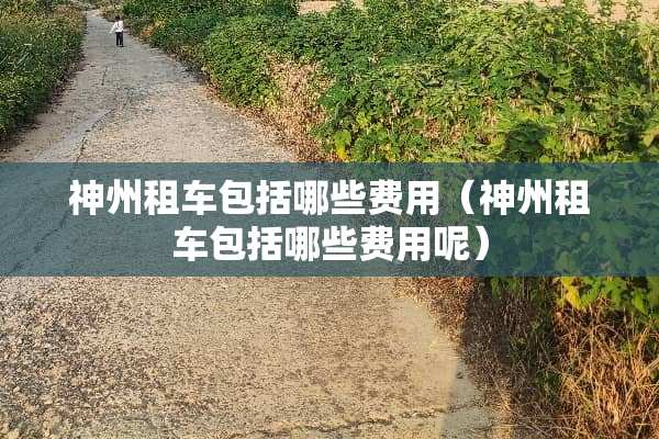 神州租车包括哪些费用（神州租车包括哪些费用呢）