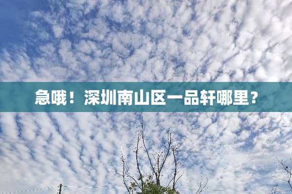急哦！深圳南山区一品轩哪里？