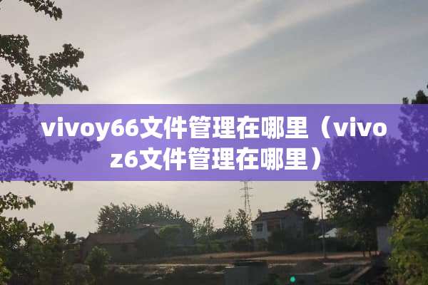 vivoy66文件管理在哪里（vivoz6文件管理在哪里）