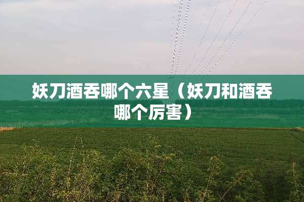 妖刀酒吞哪个六星（妖刀和酒吞哪个厉害）