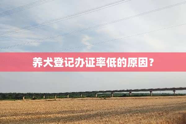 养犬登记办证率低的原因？