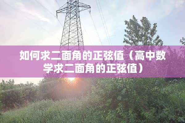 如何求二面角的正弦值（高中数学求二面角的正弦值）