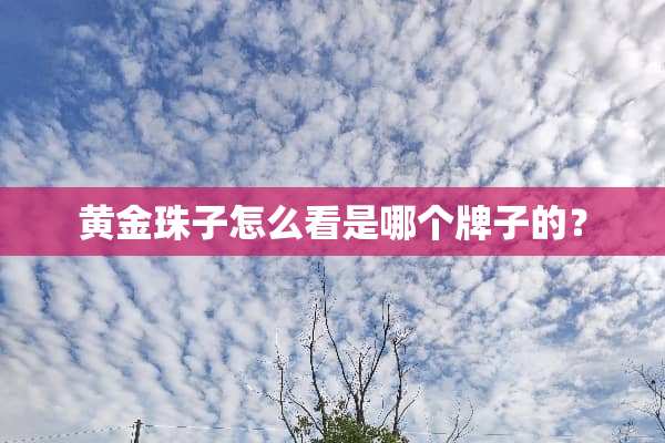 黄金珠子怎么看是哪个牌子的？