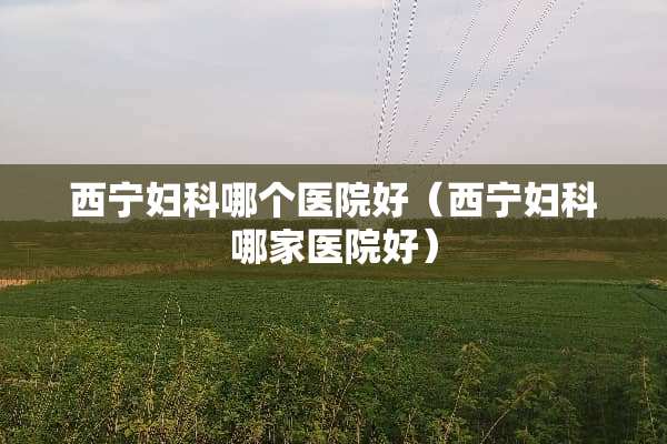 西宁妇科哪个医院好（西宁妇科哪家医院好）