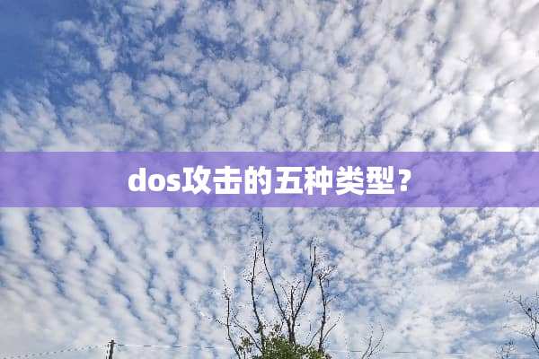 dos攻击的五种类型？