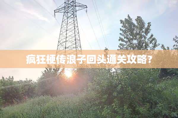 疯狂梗传浪子回头通关攻略？