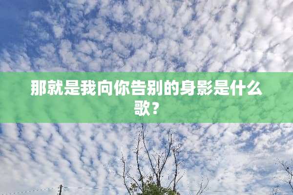 那就是我向你告别的身影是什么歌？