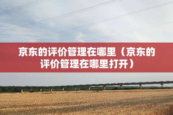 京东的评价管理在哪里（京东的评价管理在哪里打开）