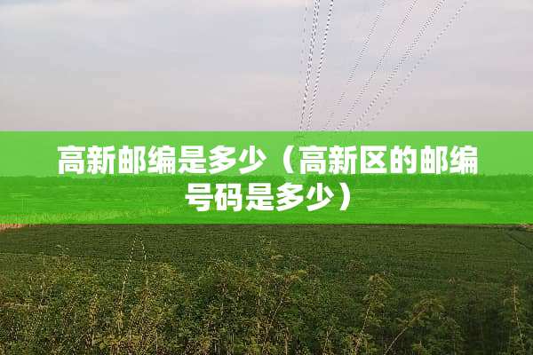 高新邮编是多少（高新区的邮编号码是多少）