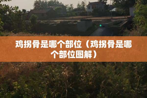 鸡拐骨是哪个部位（鸡拐骨是哪个部位图解）
