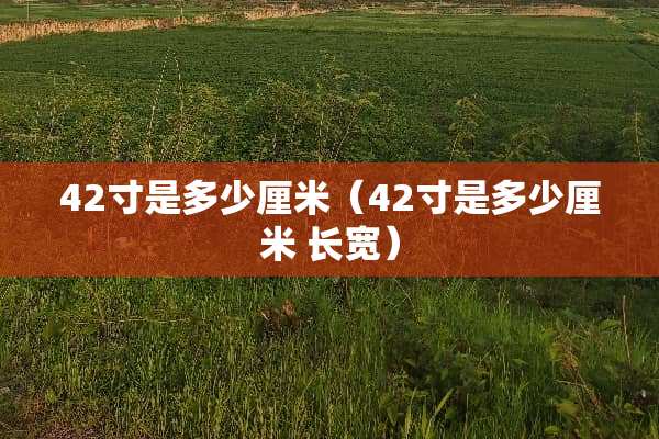 42寸是多少厘米（42寸是多少厘米 长宽）