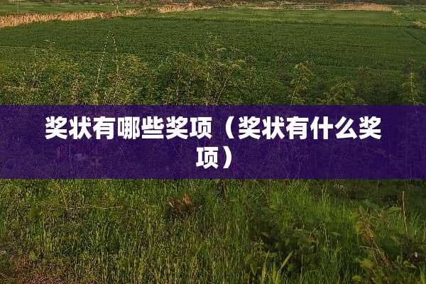 奖状有哪些奖项（奖状有什么奖项）