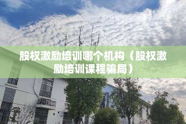 股权激励培训哪个机构（股权激励培训课程**）
