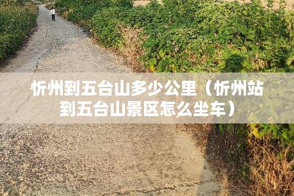忻州到五台山多少公里（忻州站到五台山景区怎么坐车）