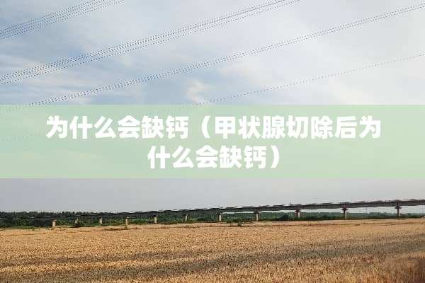 为什么会缺钙（甲状腺切除后为什么会缺钙）