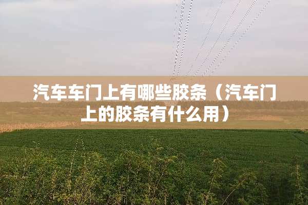 汽车车门上有哪些胶条（汽车门上的胶条有什么用）