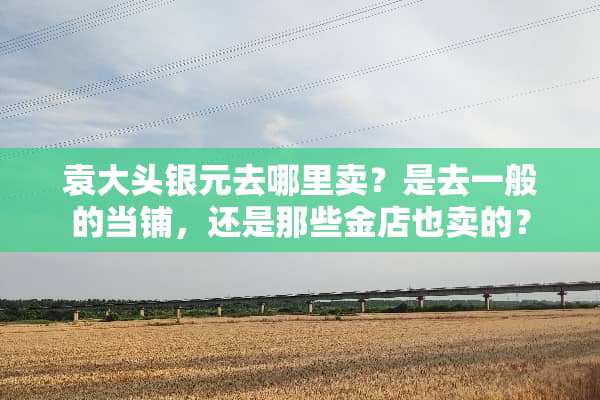 袁大头银元去哪里卖？是去一般的当铺，还是那些金店也卖的？