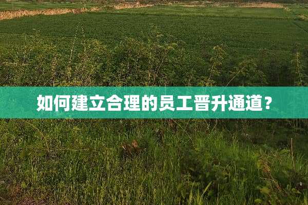 如何建立合理的员工晋升通道？