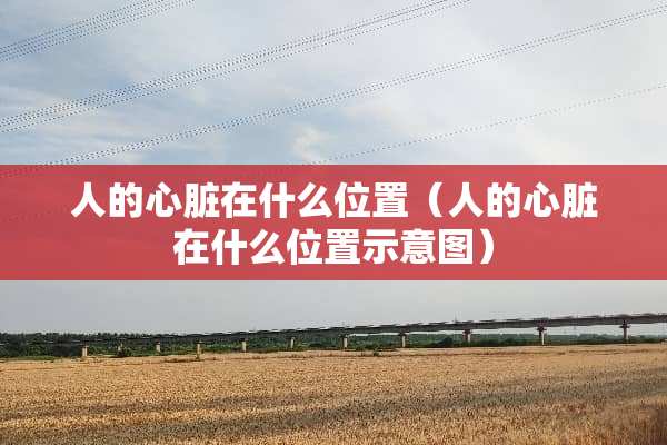 人的心脏在什么位置（人的心脏在什么位置示意图）