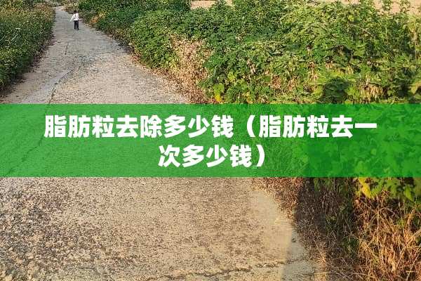 脂肪粒去除多少钱（脂肪粒去一次多少钱）