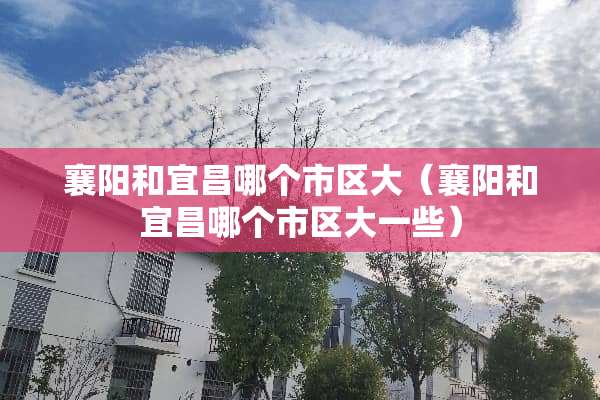 襄阳和宜昌哪个市区大（襄阳和宜昌哪个市区大一些）