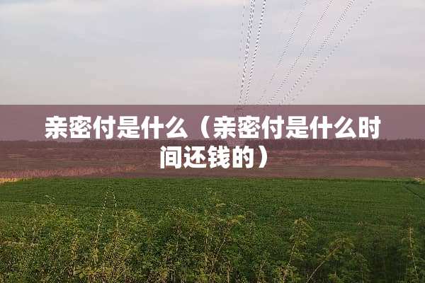 亲密付是什么（亲密付是什么时间还钱的）