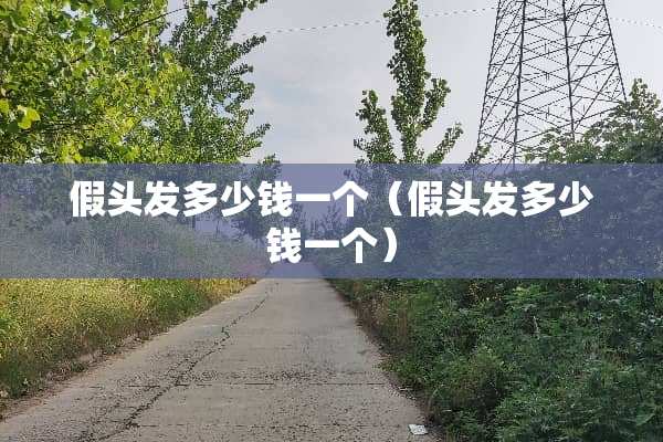假头发多少钱一个（假头发多少钱一个）