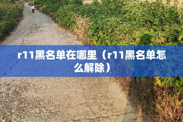 r11黑名单在哪里（r11黑名单怎么解除）