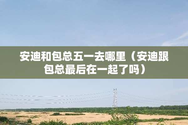 安迪和包总五一去哪里（安迪跟包总最后在一起了吗）