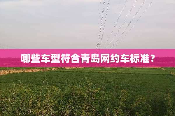 哪些车型符合青岛网约车标准？