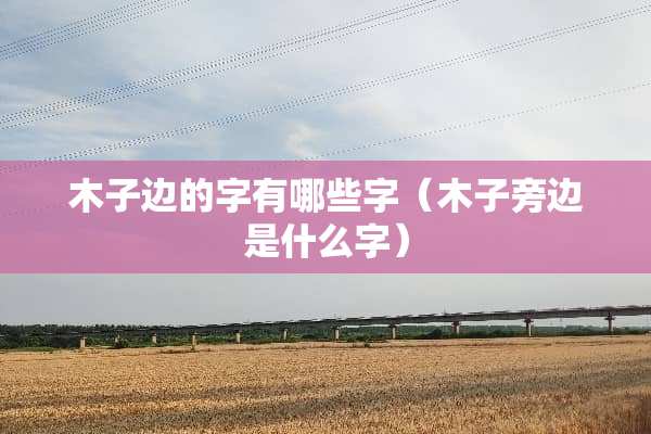 木子边的字有哪些字（木子旁边是什么字）