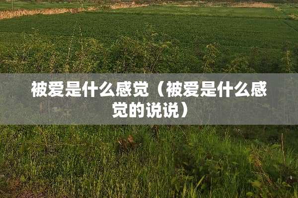 被爱是什么感觉（被爱是什么感觉的说说）