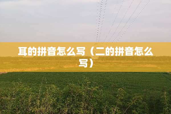 耳的拼音怎么写（二的拼音怎么写）
