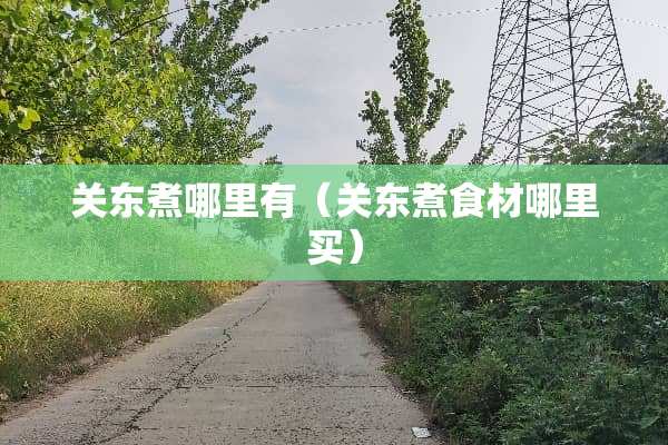关东煮哪里有（关东煮食材哪里买）