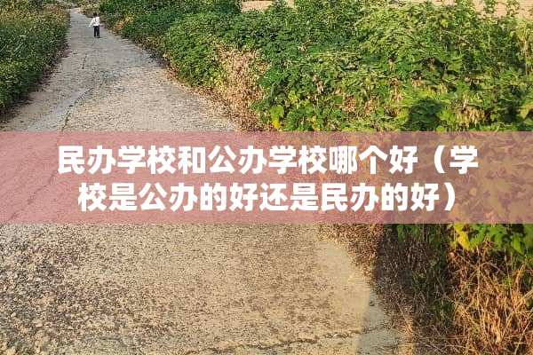 民办学校和公办学校哪个好（学校是公办的好还是民办的好）