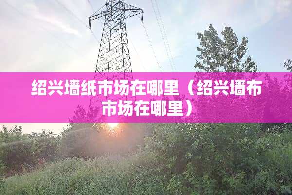 绍兴墙纸市场在哪里（绍兴墙布市场在哪里）