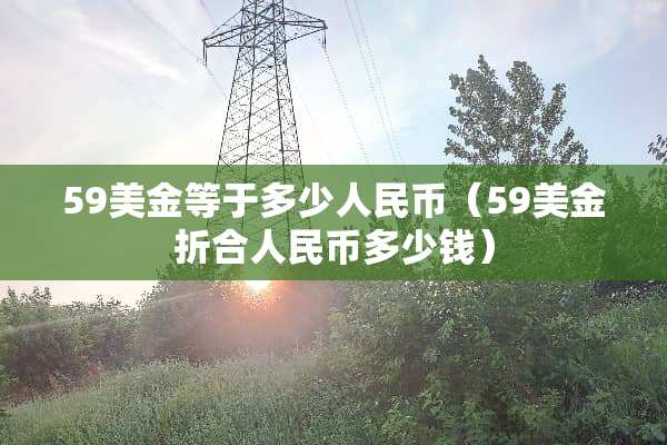 59美金等于多少人民币（59美金折合人民币多少钱）